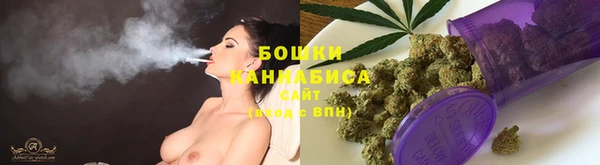 стафф Нефтекумск