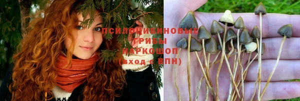 spice Нея